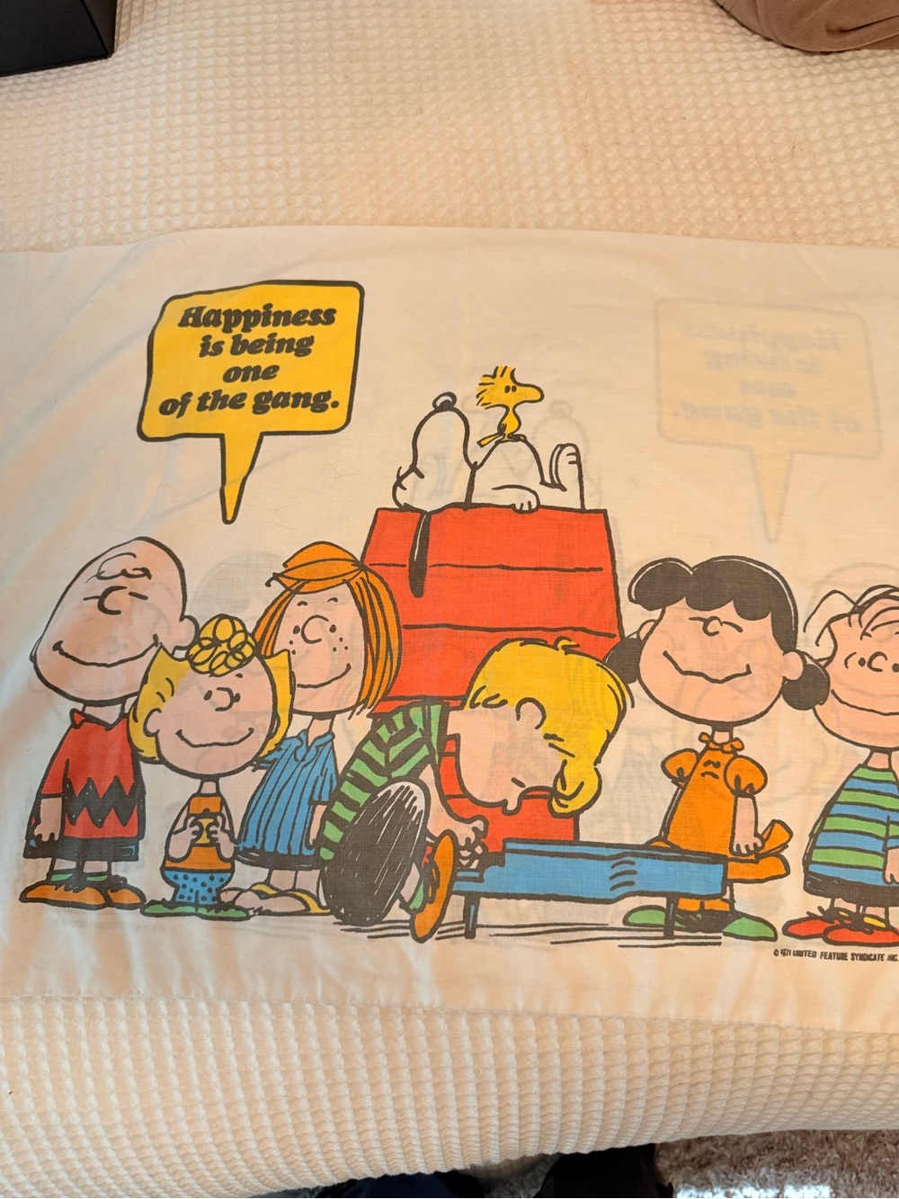 Peanuts Comic Strip Vintage Pillow Case 1971— Multi-Color